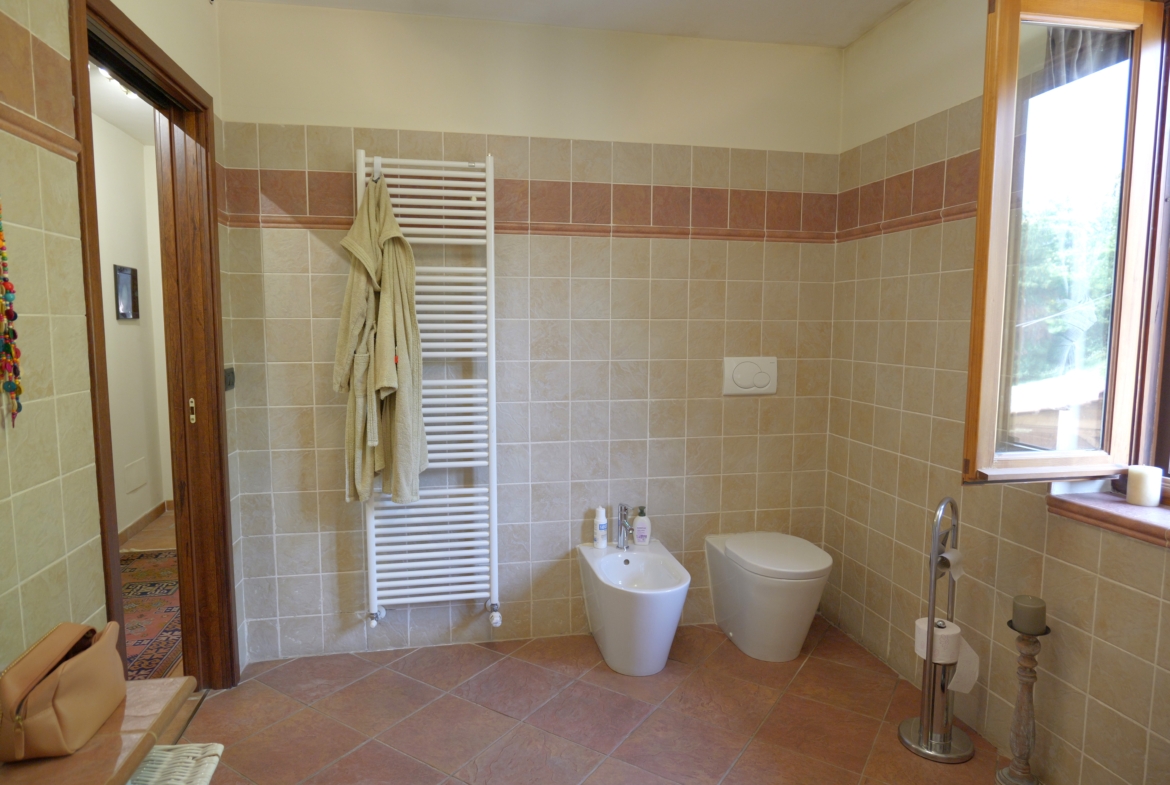 Vendesi casa indipendente a Netro con giardino