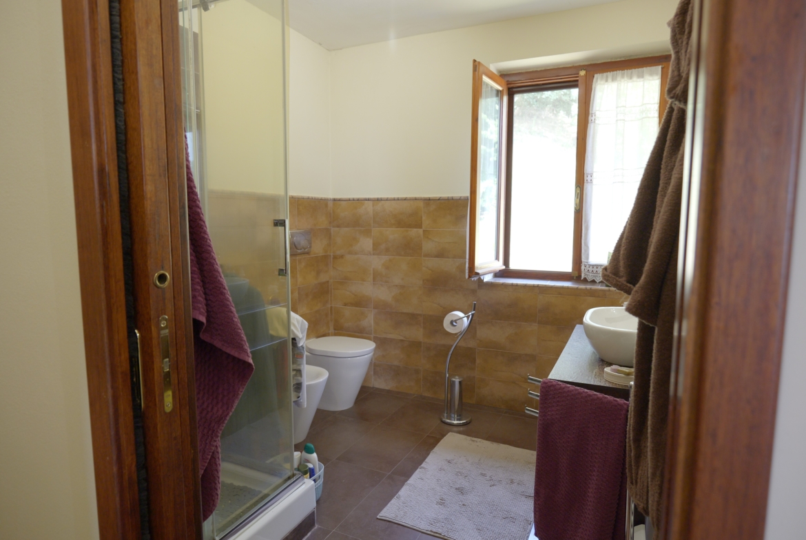 Vendesi casa indipendente a Netro con giardino