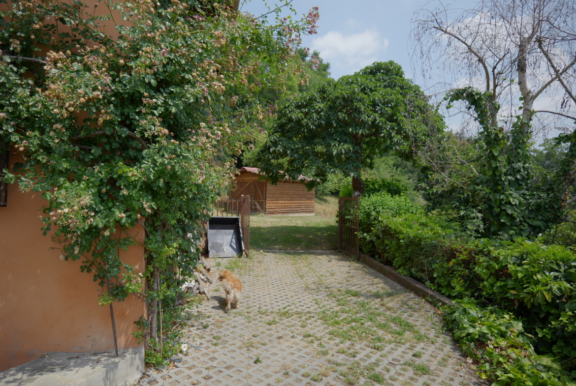 Vendesi casa indipendente a Netro con giardino