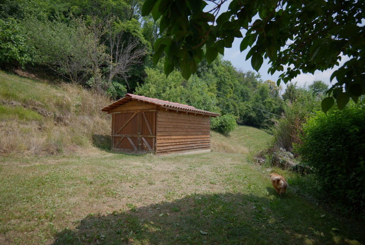 Vendesi casa indipendente a Netro con giardino